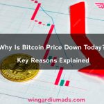 Why Is Bitcoin Price Down Today